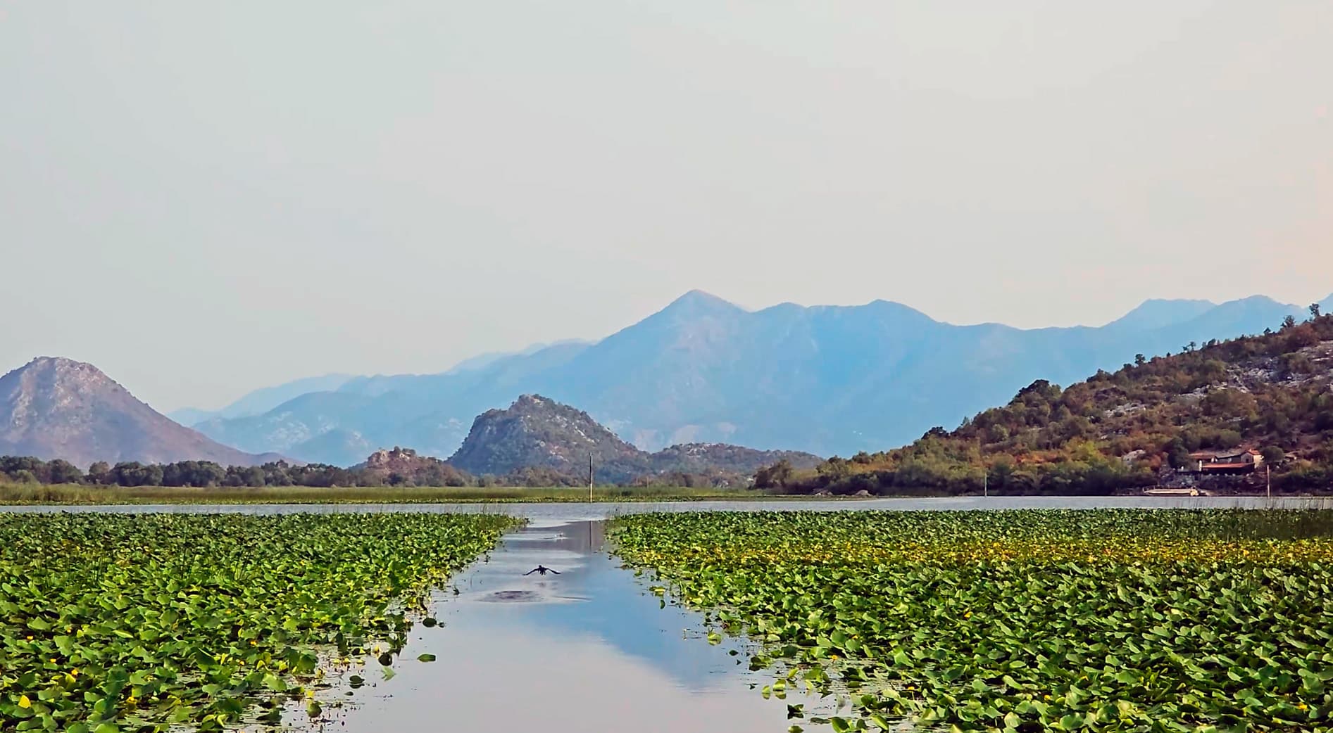 Private speedboat trips on Lake Skadar